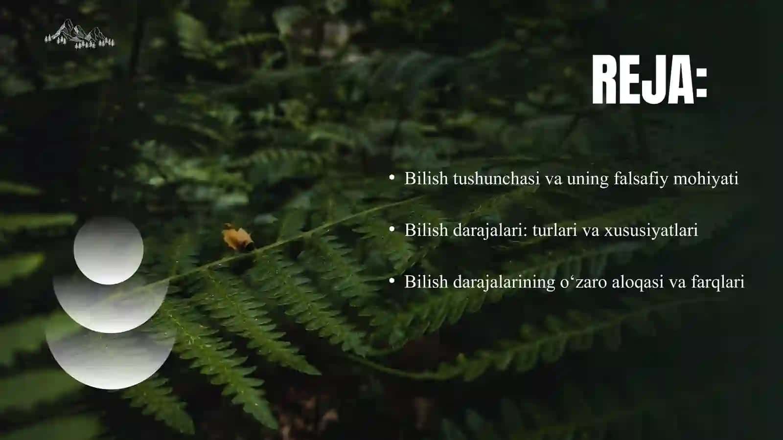 Bilish tushunchasi va uning falsafiy mohiyati 2