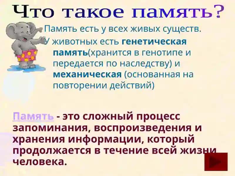 Память 2