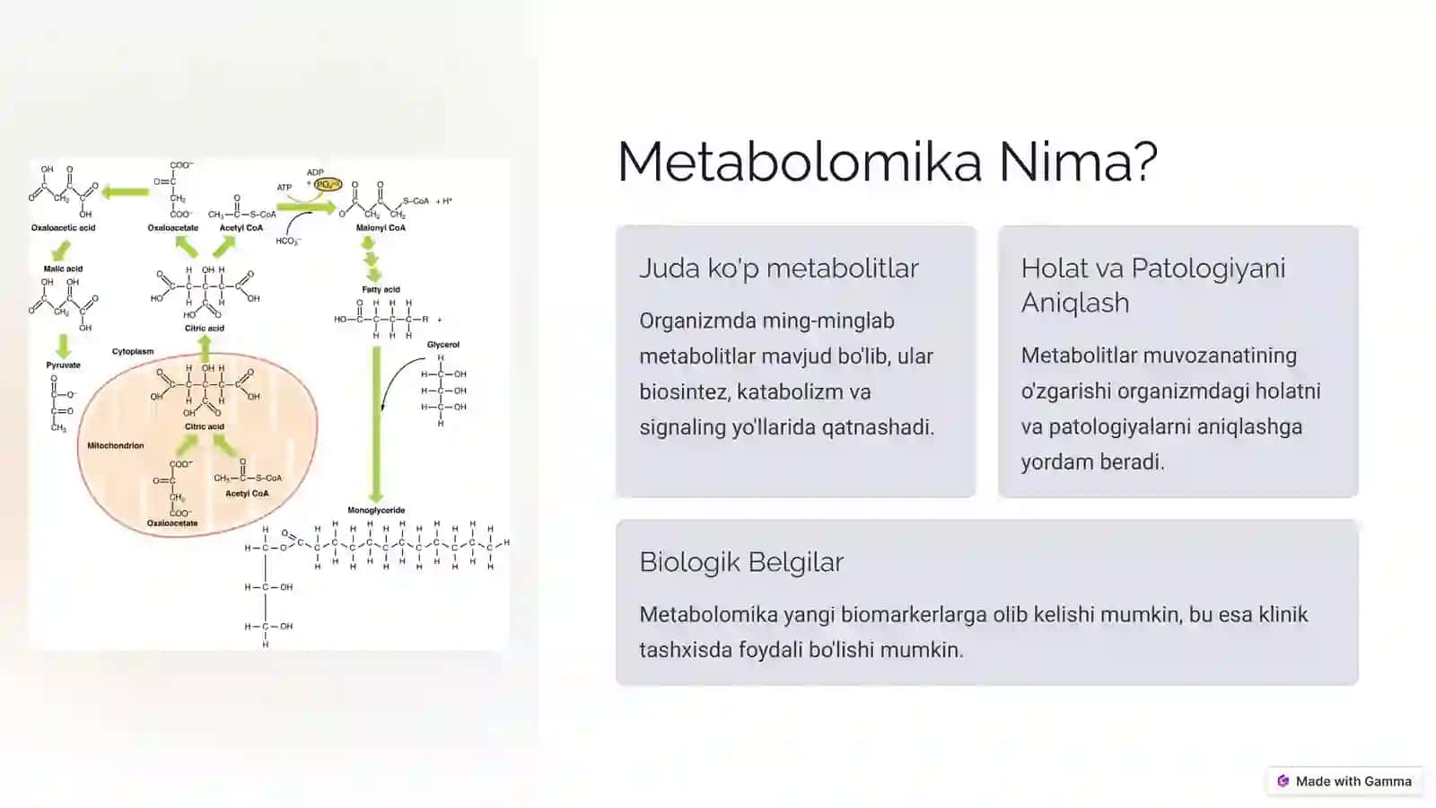 Metabolomika - Metabolomikafaninigakirish 2