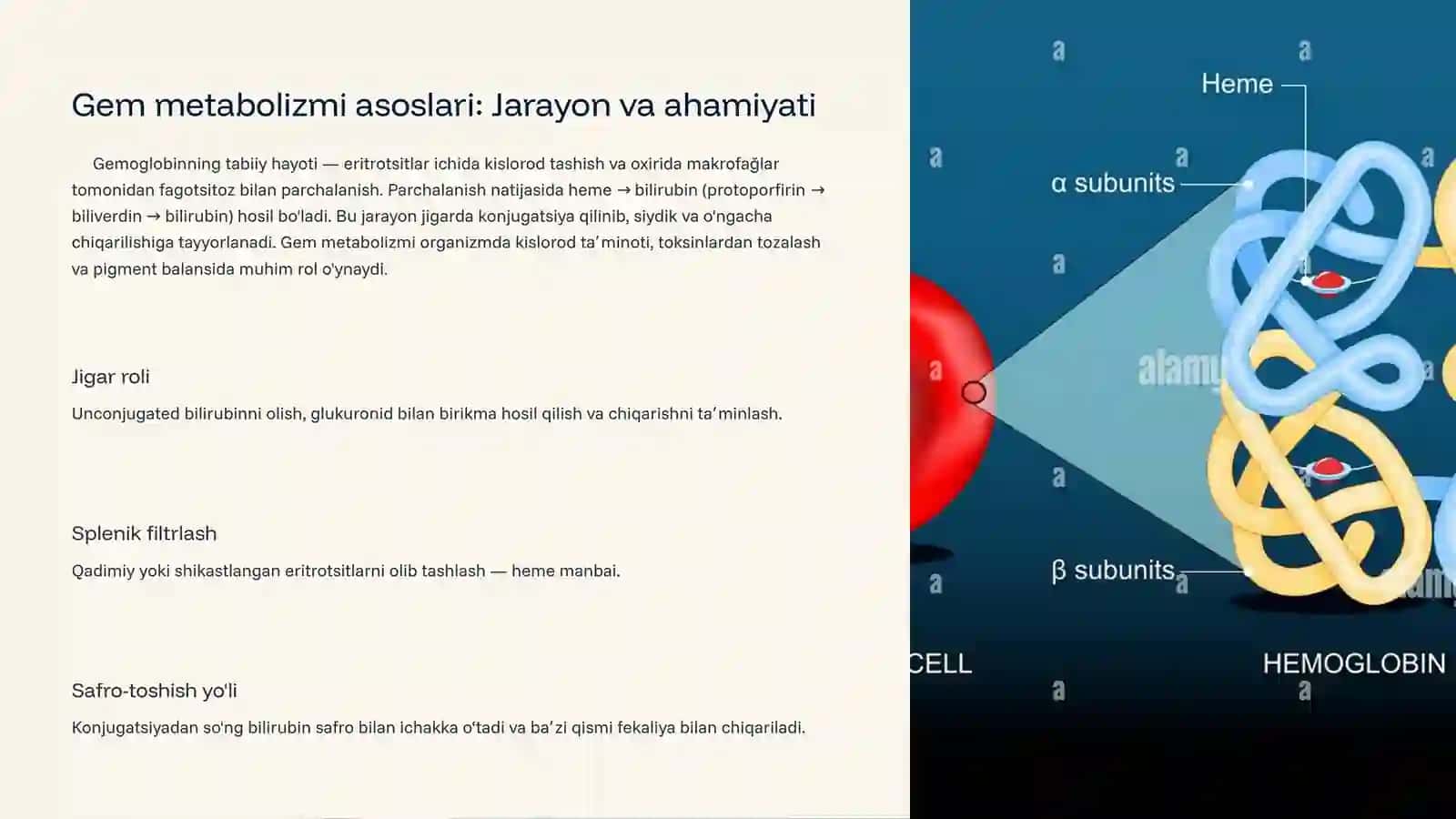 Gem metabolizmi, sariqlik va uning xillari 2
