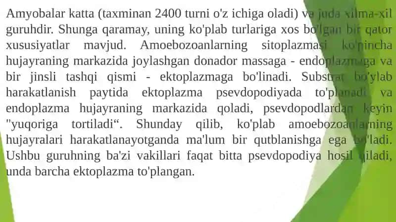 Amyobasimon (Amoeboidea) 2