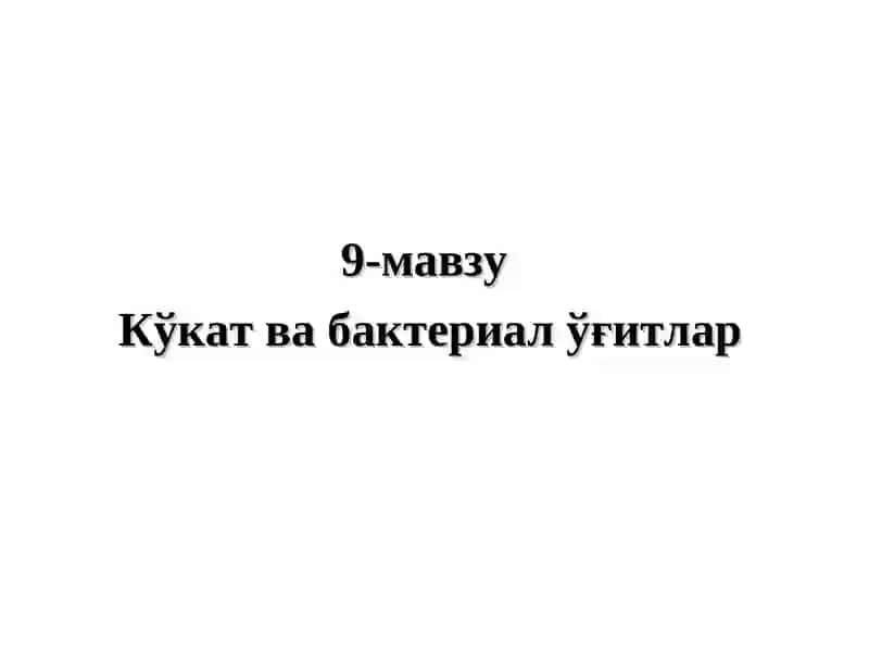 Кўкат ва бактериал ўғитлар 2
