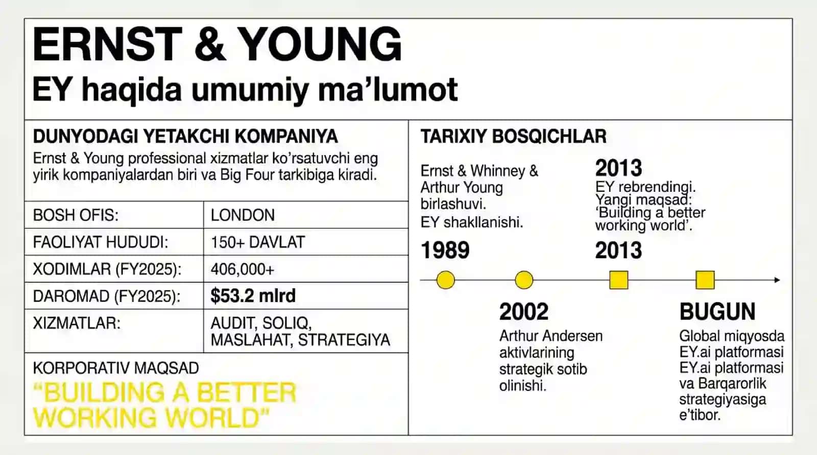 ERNST & YOUNG xalqaro auditorlik kompaniyasi 2