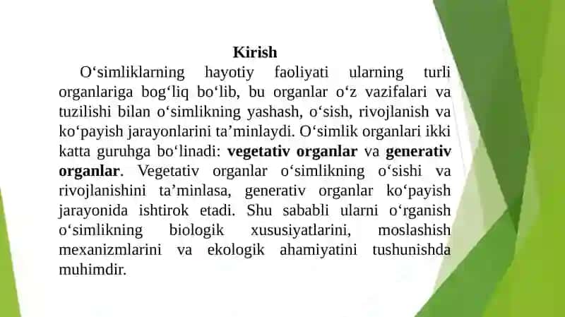 O‘simliklarning vegetativ va generativ organlari 2