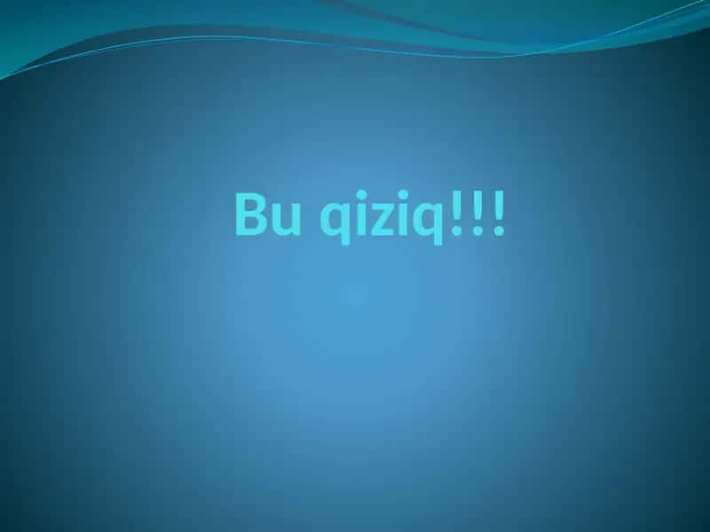 Delfinlar haqida taqdimot 2