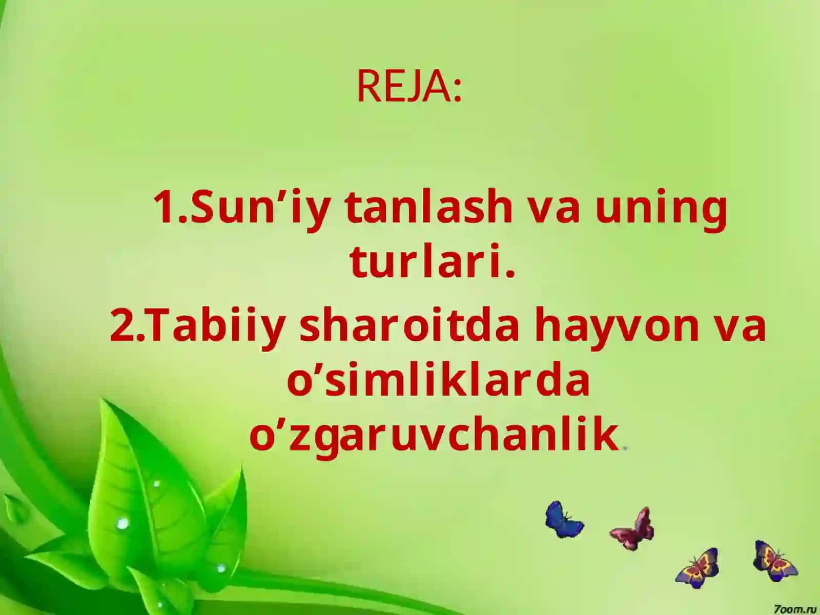 EVOLYUTSION TA`LIMOT 2