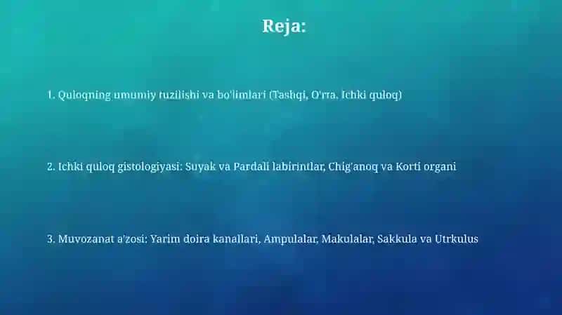 Sezgi a’zolari.Quloq gistologiyasi 2