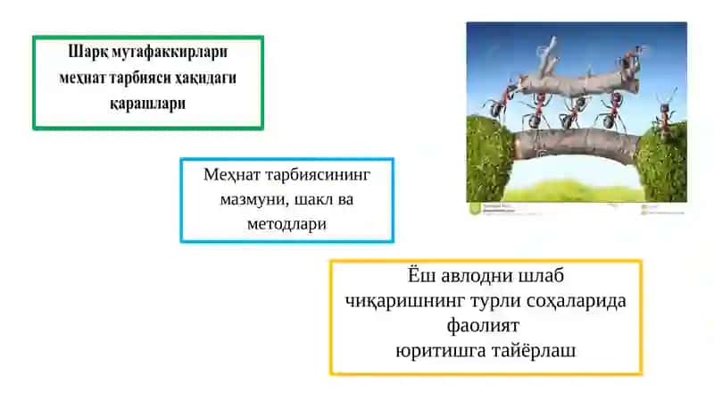 Меҳнаттарбияси 2