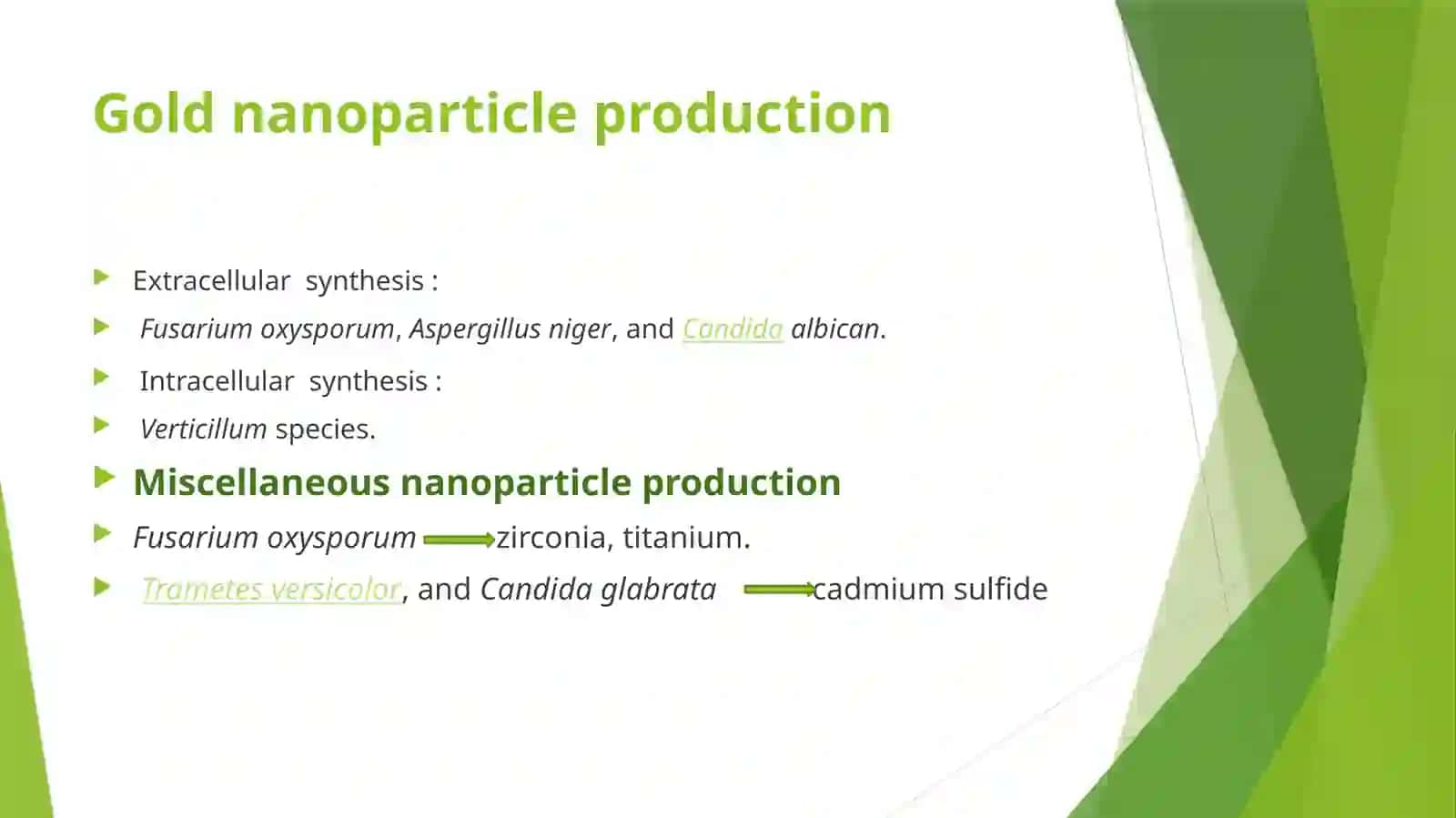 Nanoparticles Synthesis by Fungi 2