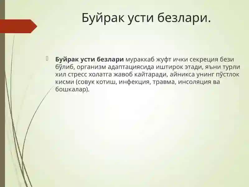 Буйрак усти безлари 2