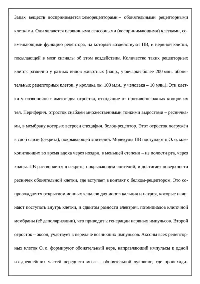 ОБОНЯТЕЛЬНЫЙ ОРГАН 2