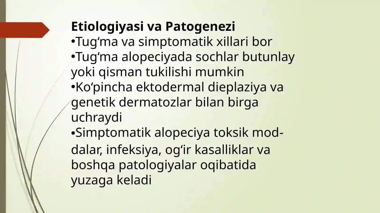 ALOPESIYA 2
