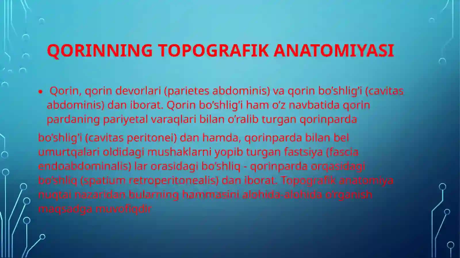 Qorinning topografik anatomiyasi 2