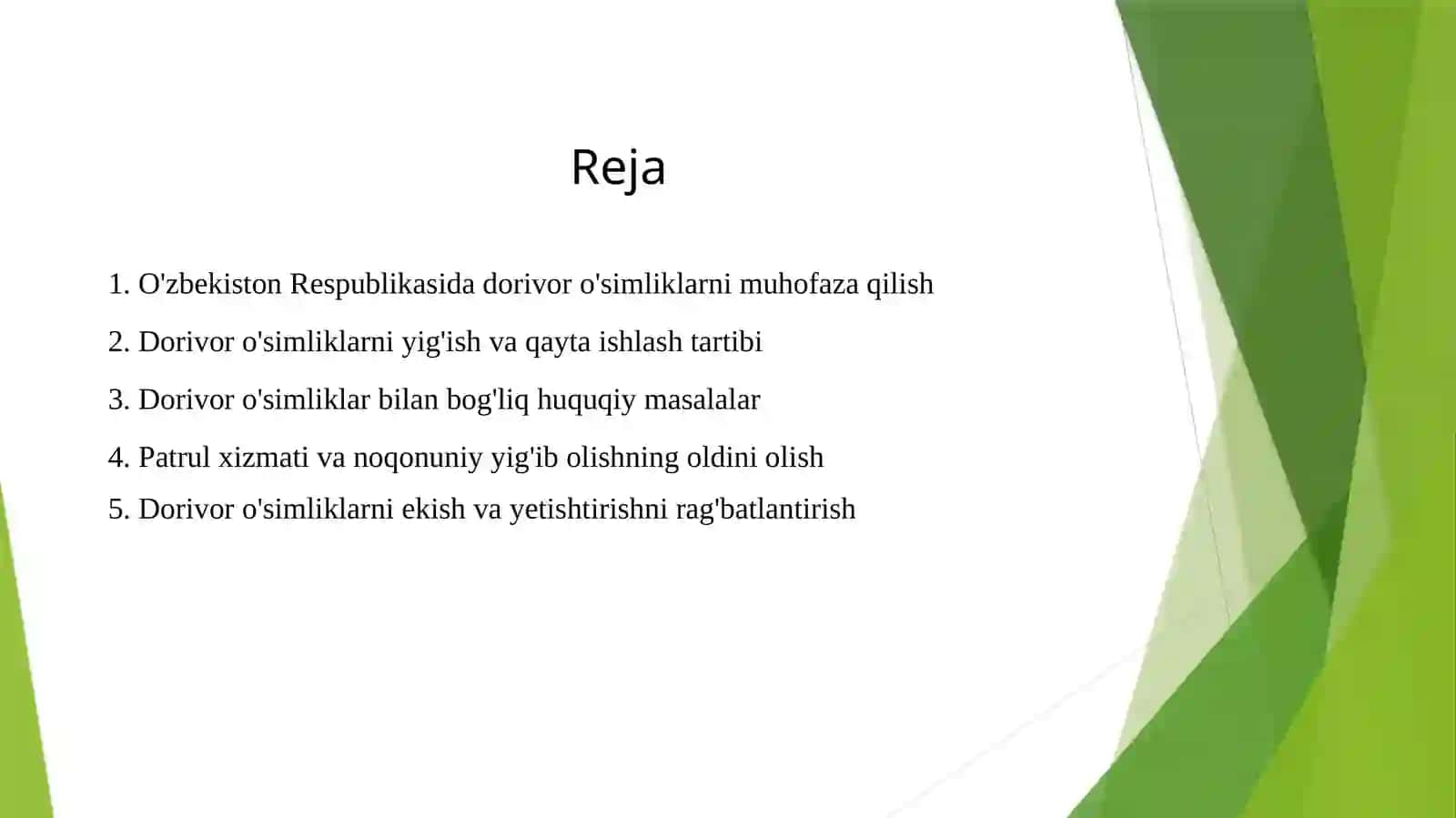 Dorivor o'simliklarni muhofaza qilish 2