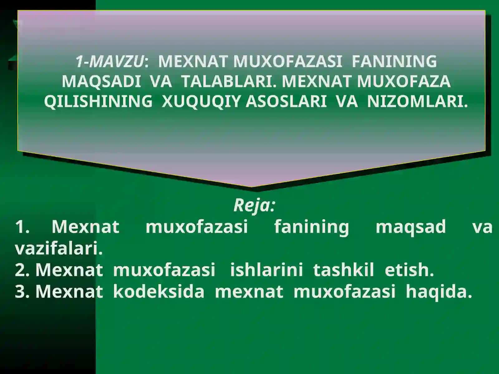 MEHNAT MUXOFAZASI 2