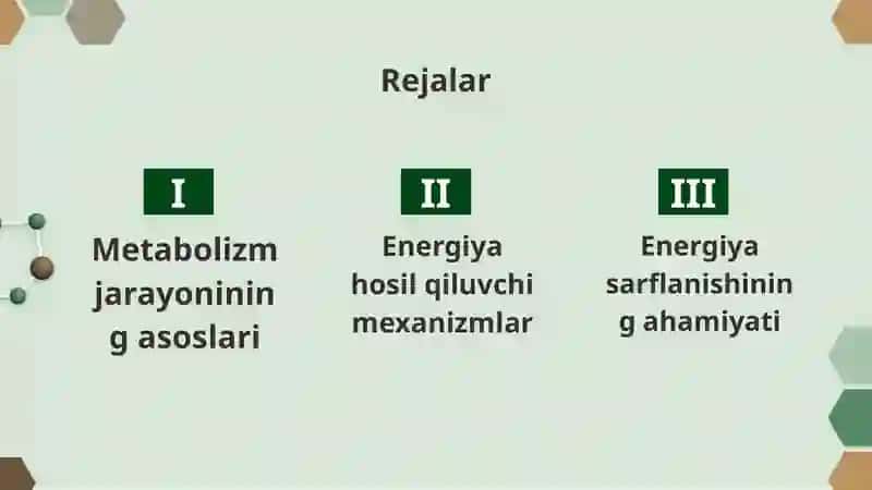 Metabalizm jarayonida energiya hosil bo'lishi va sarflanishi 2