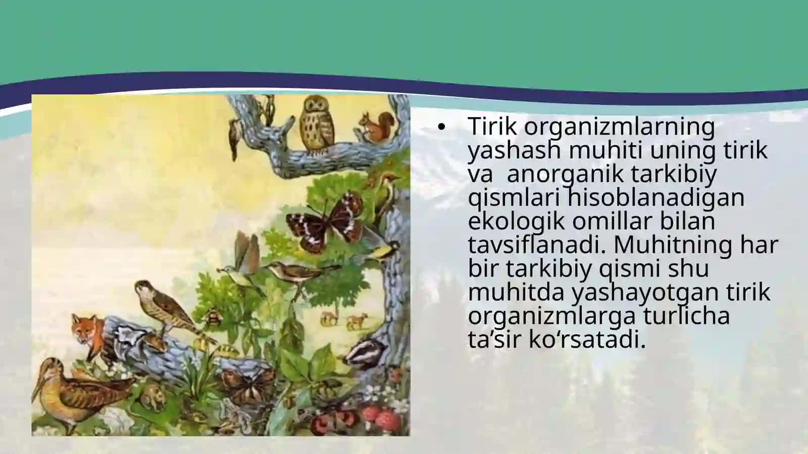 Muhit omillari va ularning tasnifi 2