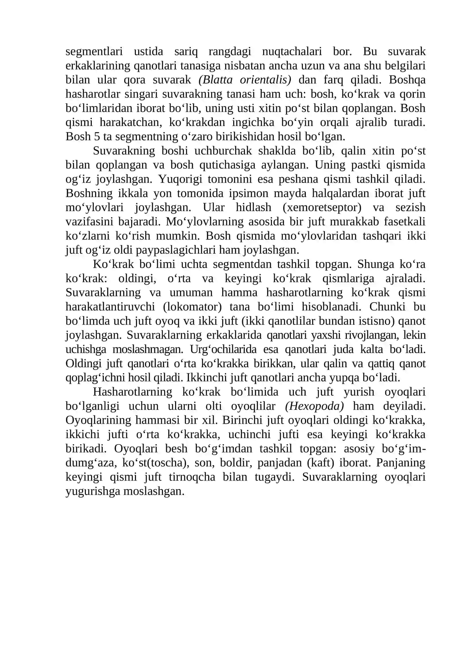 Qora suvaraklar-Blattoidea 2