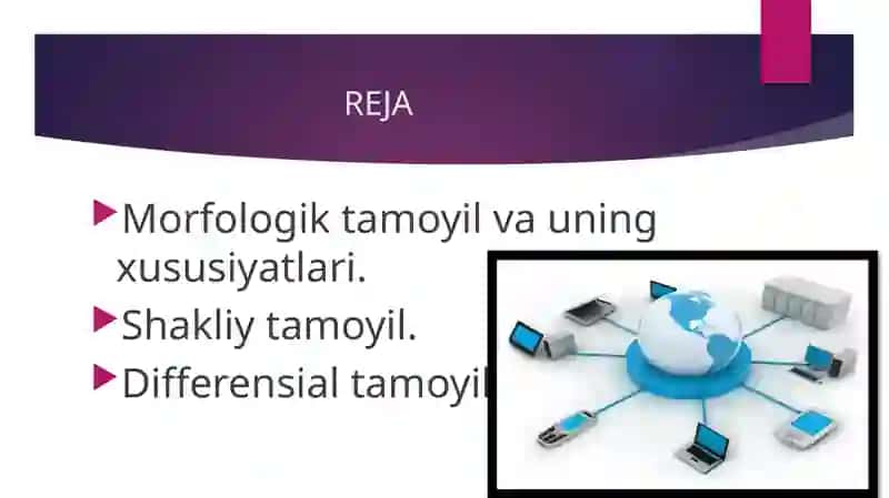 Morfologik tamoyil va uning xususiyatlari 2
