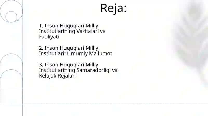 Inson huquqlari bo'yicha milliy institutlar 2