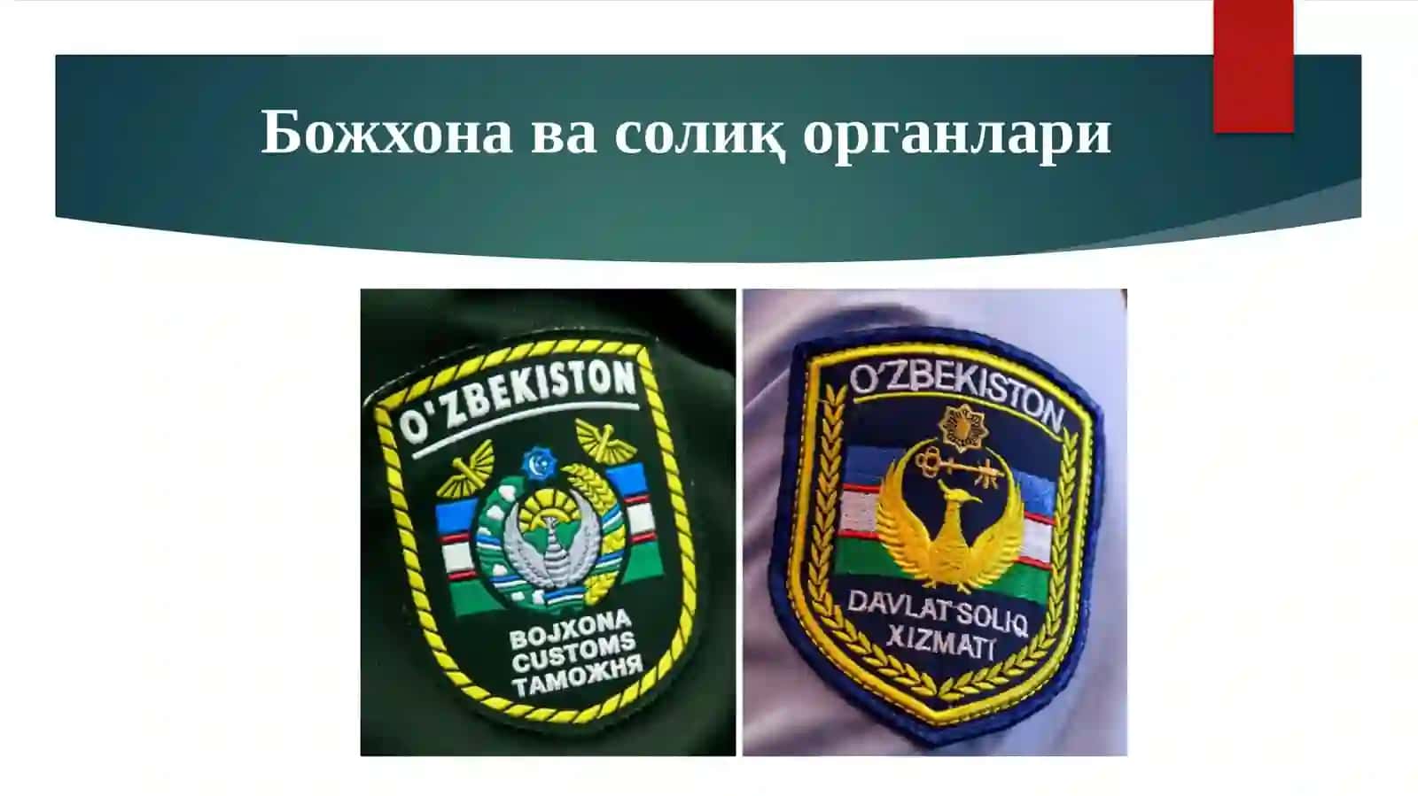 Божхона ва солиқ органлари 2
