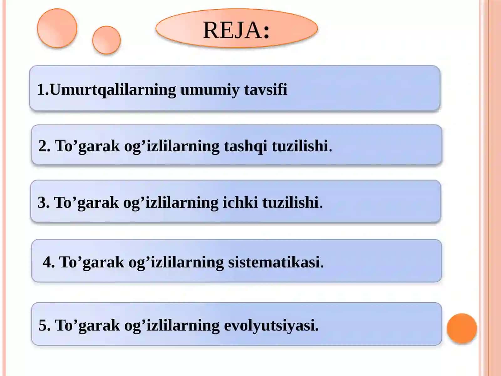 Umurtqalilarning kenja tipi 2