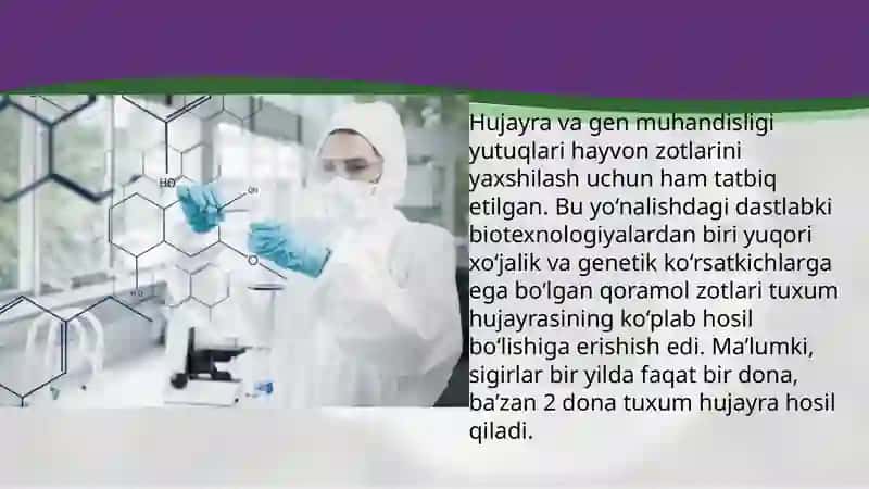 Hujayra muhandisligi asosida hayvonlar irsiyatini o‘zgartirish. Gibridoma 2