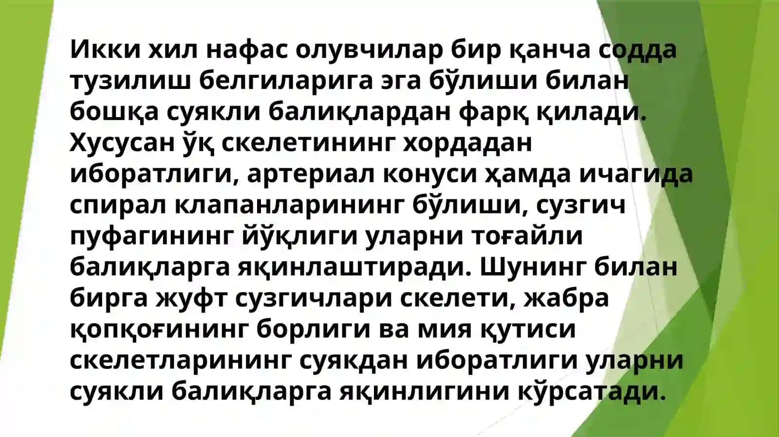 Ikki xil nafas oluvchibaliqlaruchun xos xususiyatlar 2