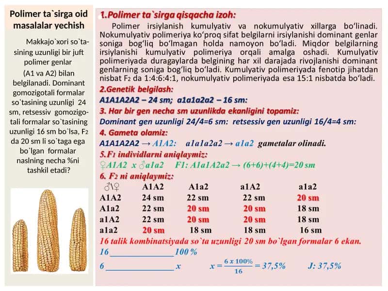 Geometric Shakilarning Perspectivasi 2
