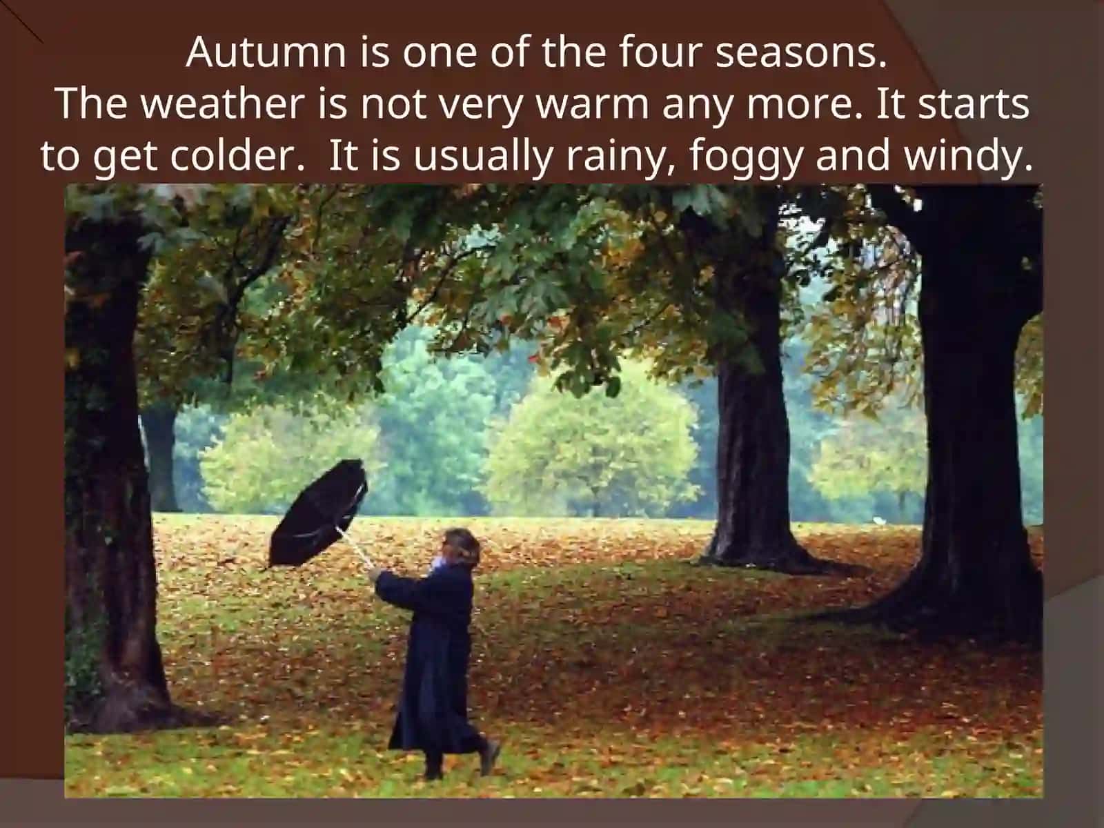 Autumn is one of the four seasons 2