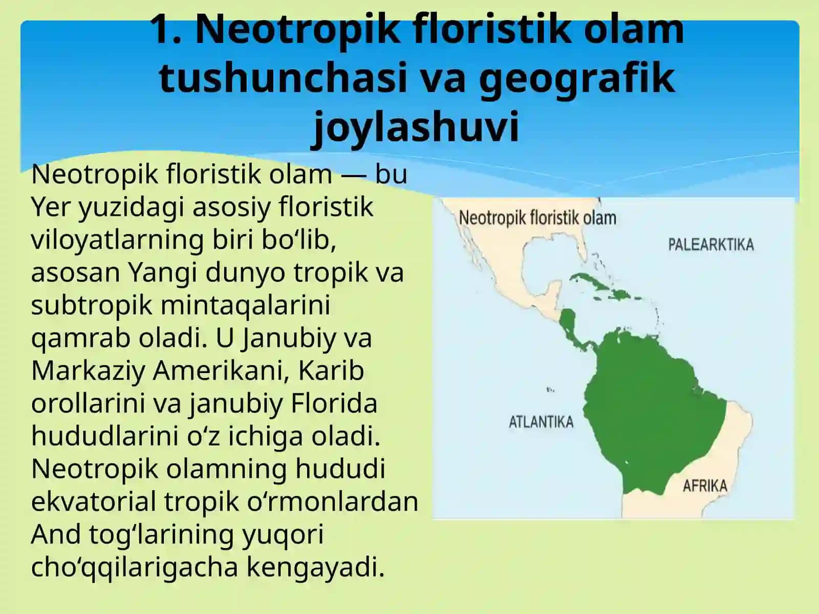 Neotropikfloristik olam 2