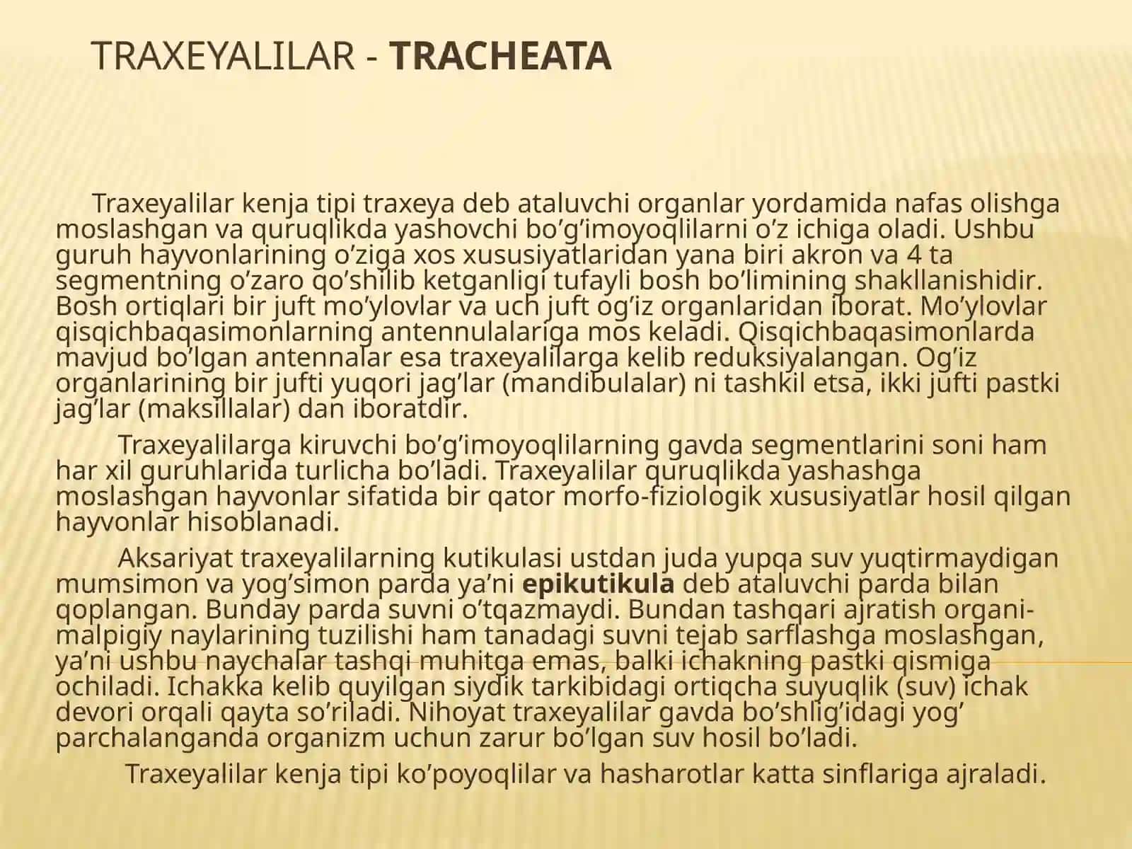 Traxeyalilarkenjatipi 2