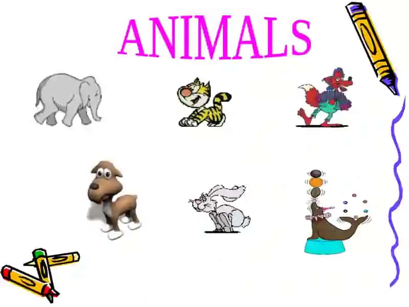 English For Kids 2