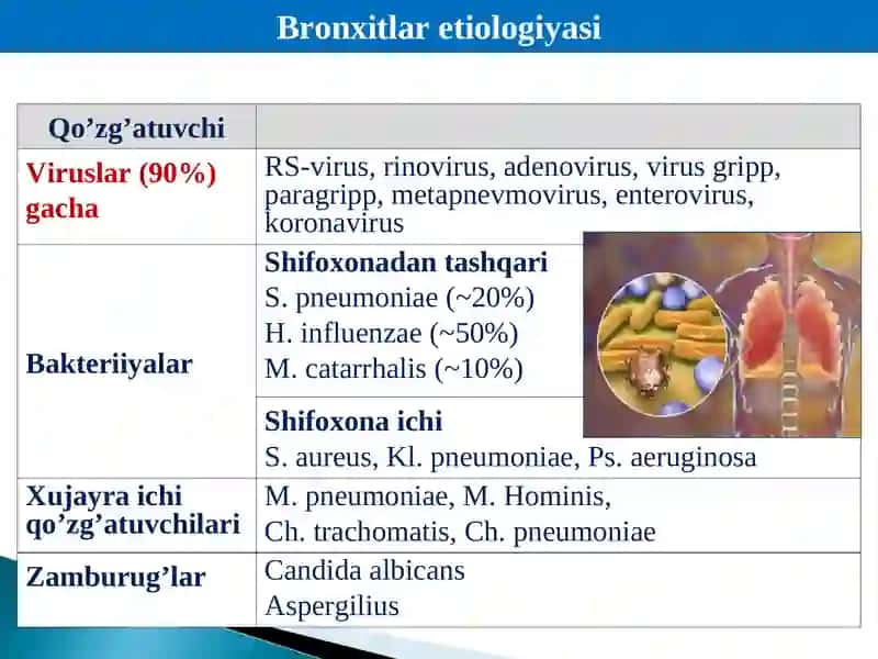 Viruslar va bakteriyalar 2