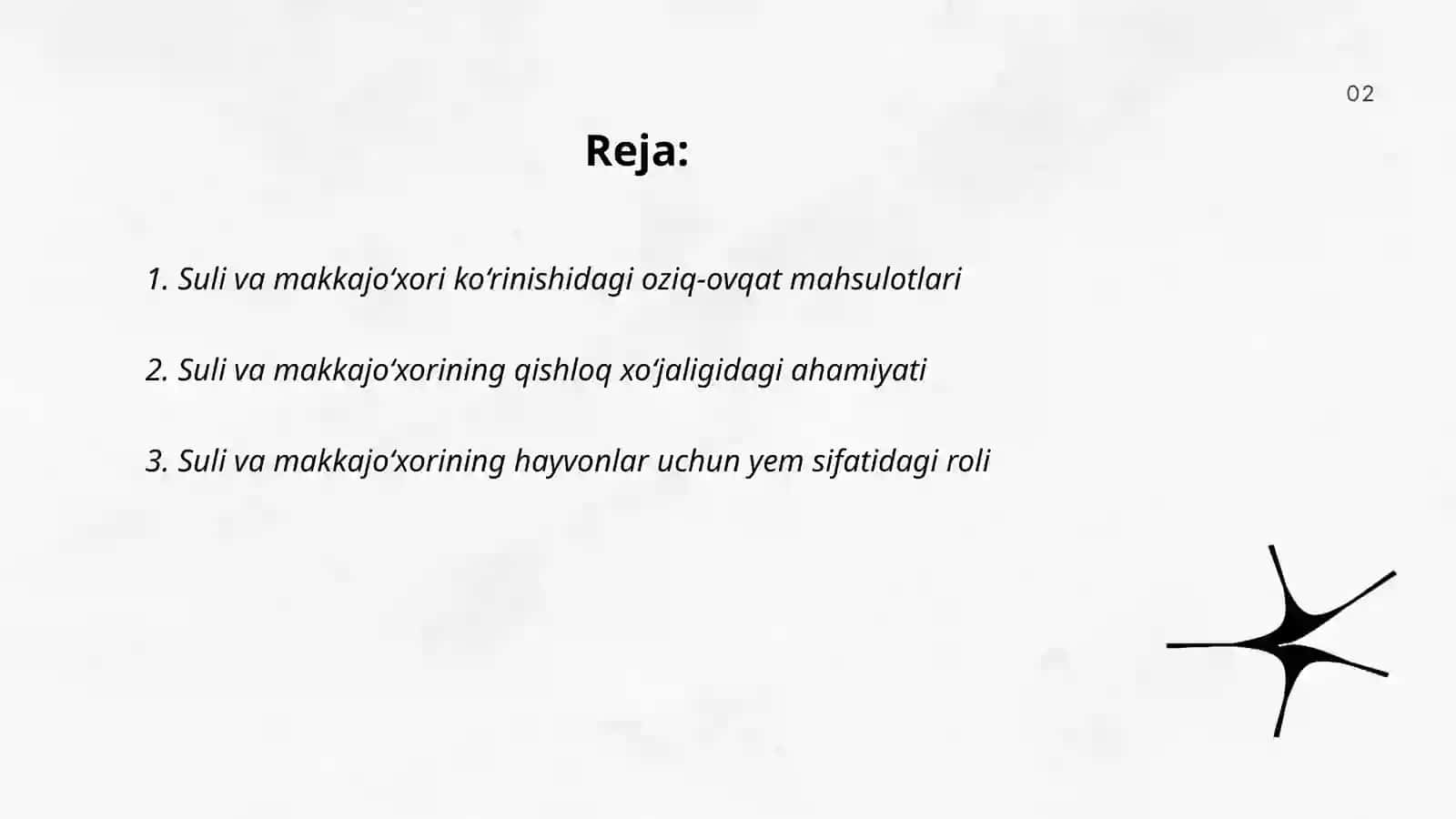 Suli va makkajo‘xori mahsulotlari 2