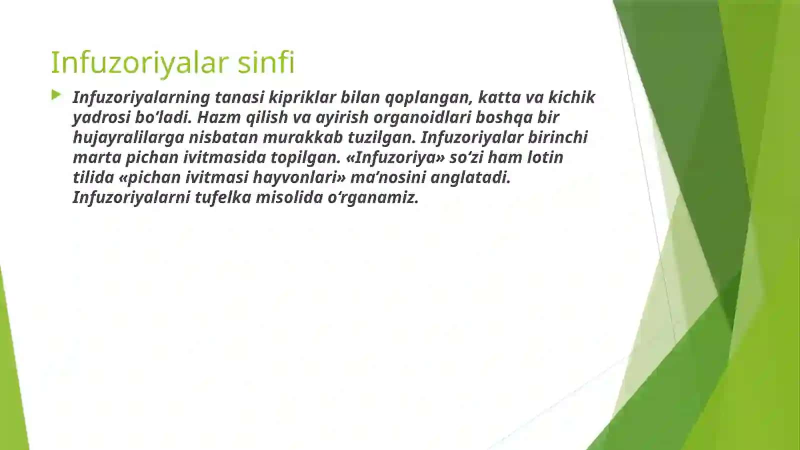 Infuzoriyalar sinfi 2