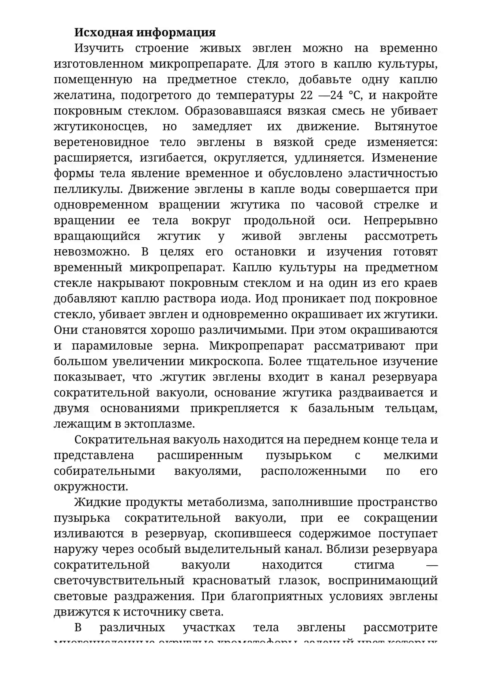 ОСОБЕННОСТИ СТРОЕНИЯ ЖГУТИКОВЫХ 2