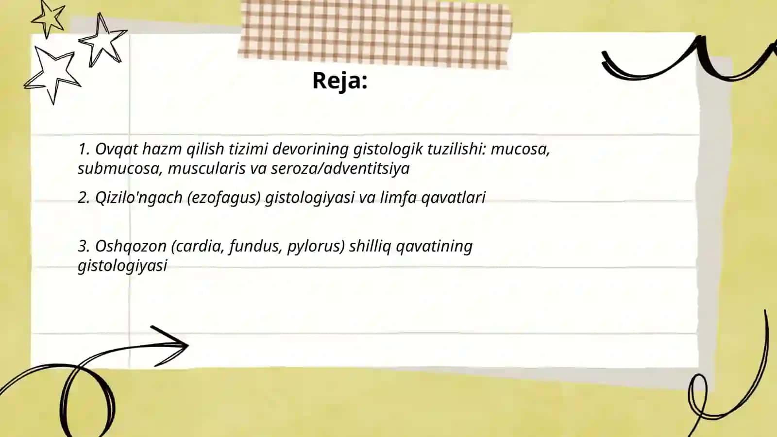 Ovqat hazm qilish gistologiyasi 2
