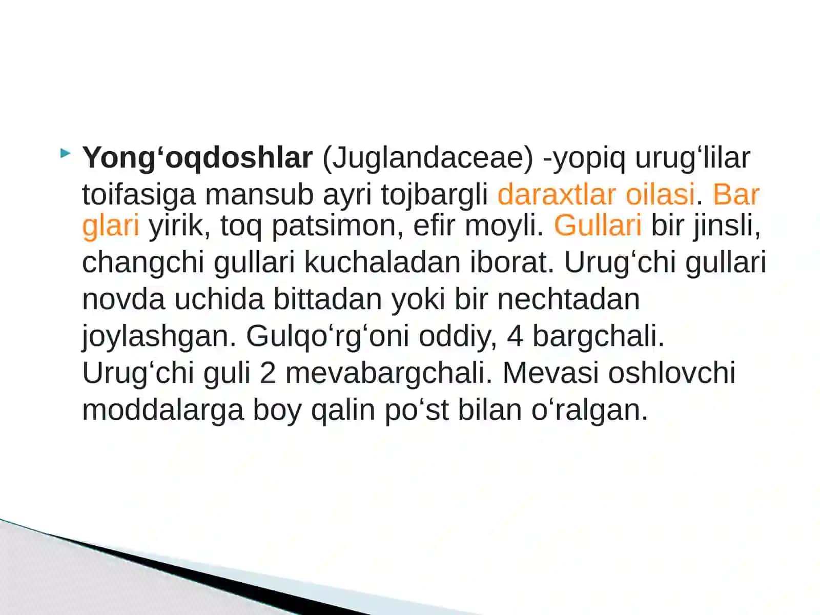 Yongʻoqdoshlar oilasi 2