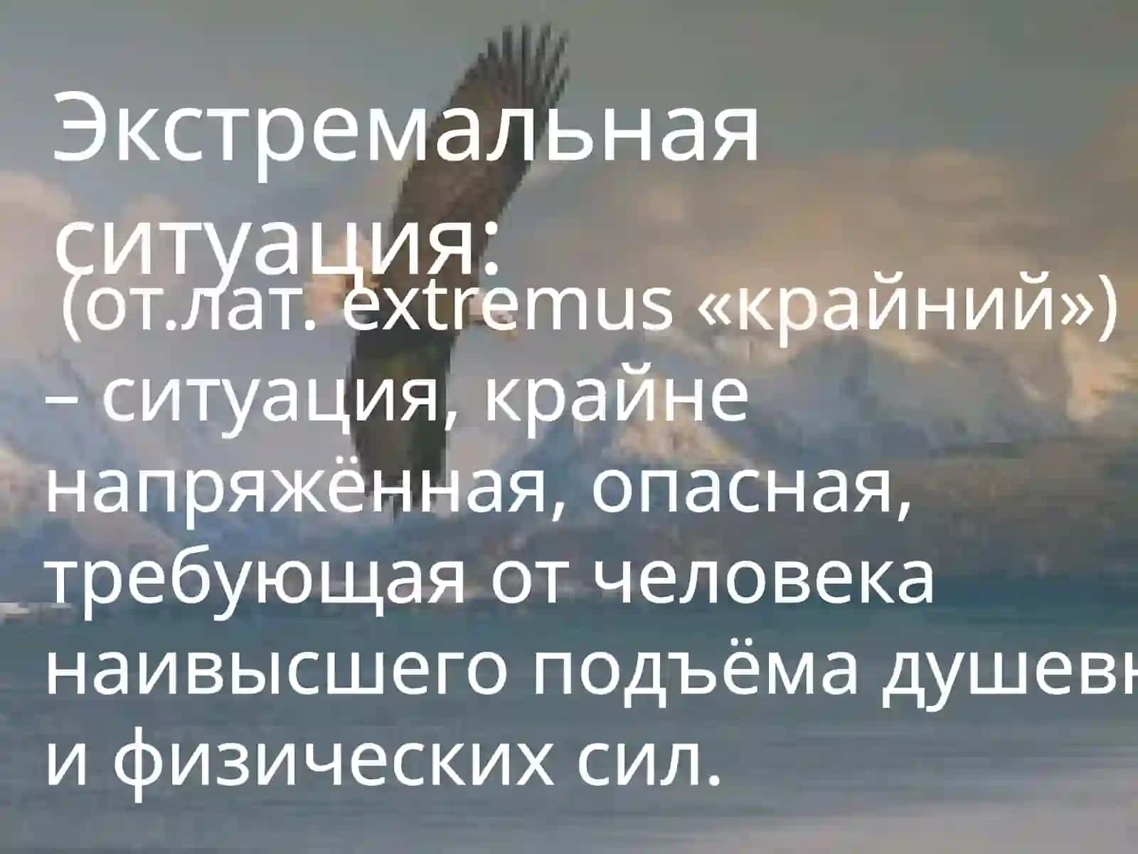 Что такое любовь к жизни? 2