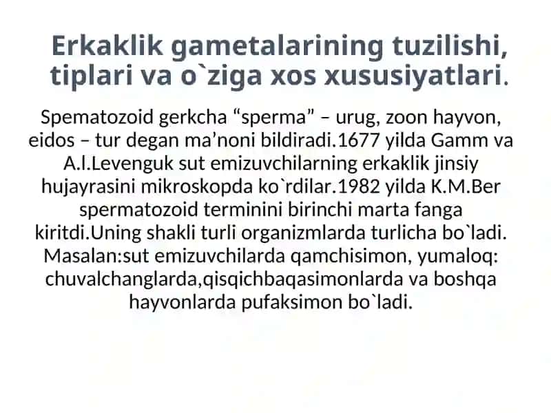 Urug’ hujayralarning tuzilishi va spermatogenez 2