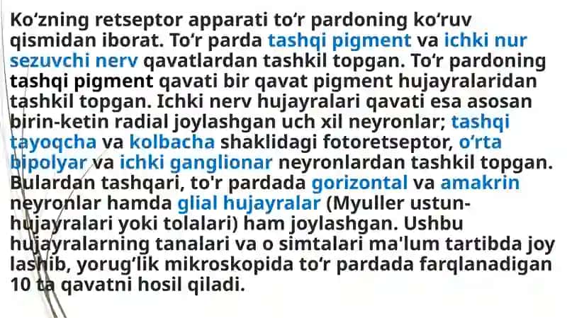 koʻzning retseptorlik xususiyatlari 2