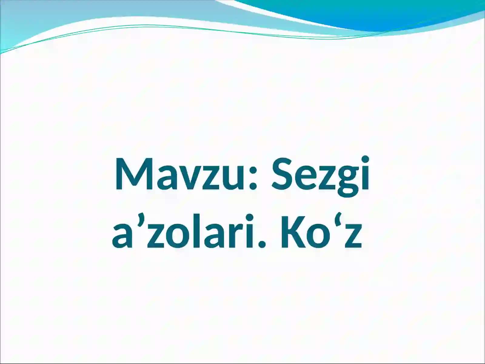 Sezgi a’zolari. Ko‘z 2