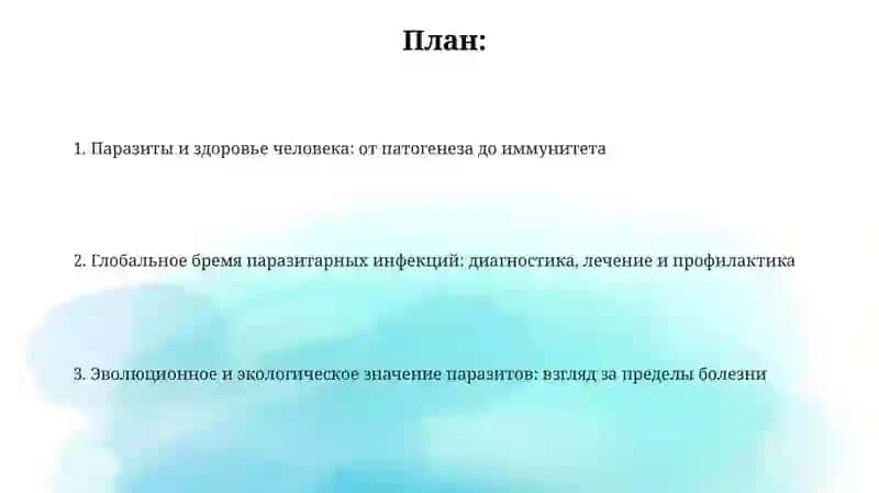 Презентация 2