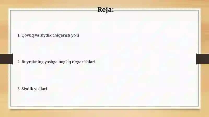Siydik pufagi 2