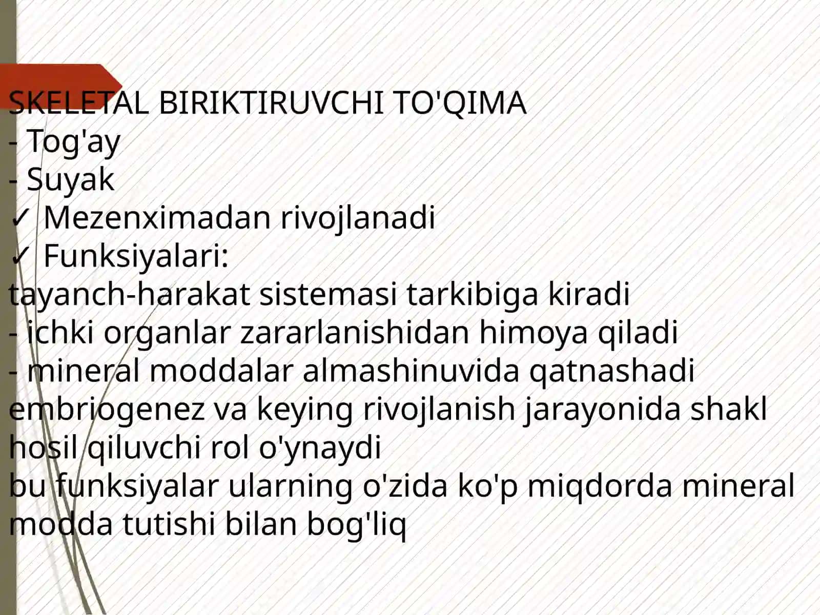 Suyakvatoğaytoʻqimasi 2