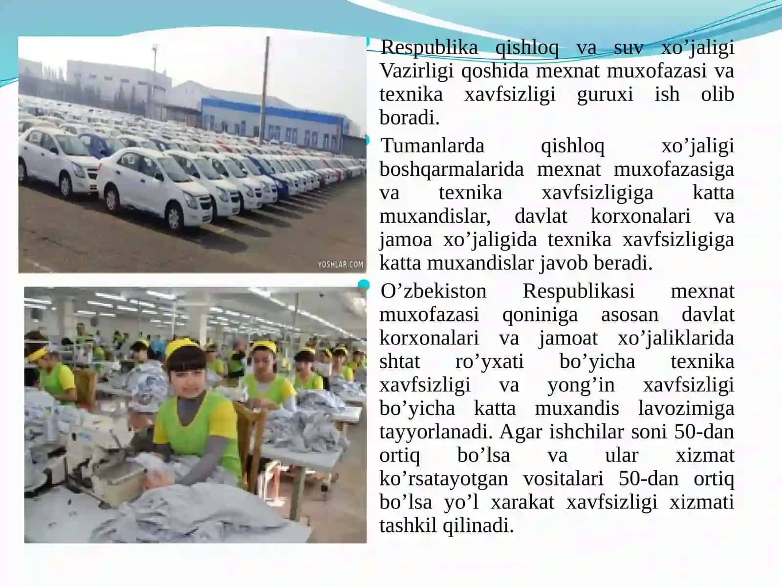 Mexnat muxofazasi ishlarini tashkil etish 2