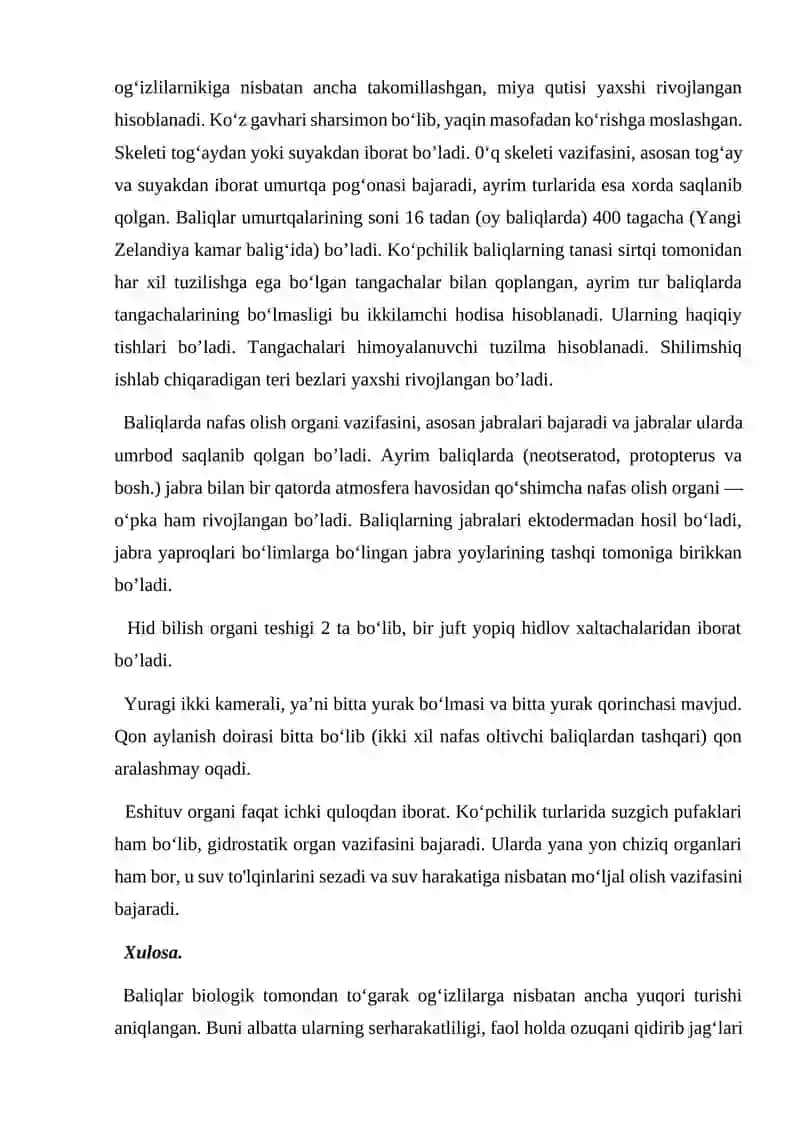 Baliqlar katta sinfining umumiy tavsifi 2