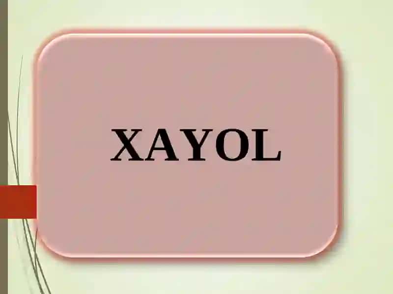 XAYOL VA XOTIRA 2