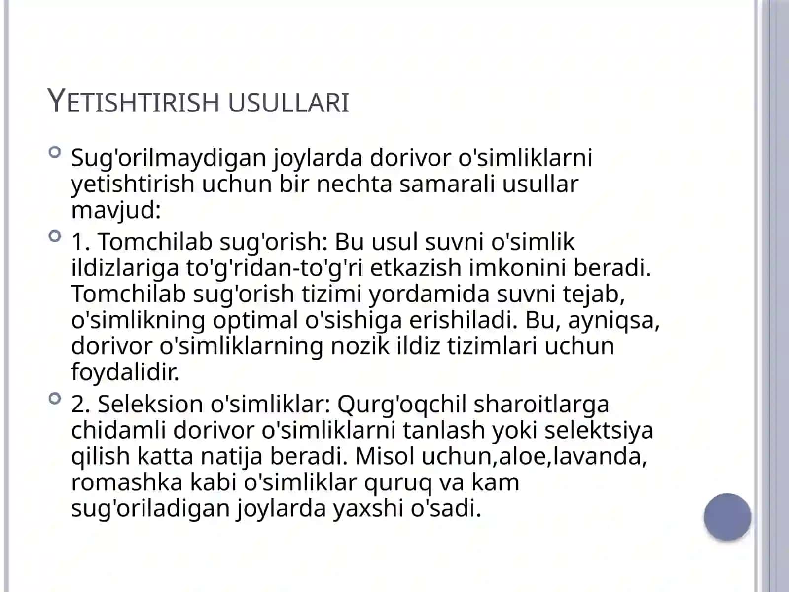 Lavanda o'simligining dorivor xususiyatlari 2